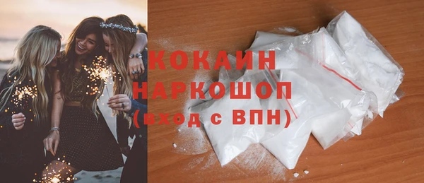 шишки Беломорск
