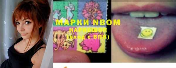 шишки Беломорск