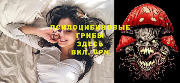 бутират Белокуриха