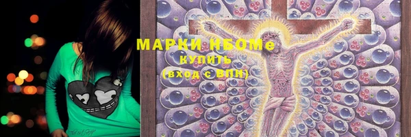 шишки Беломорск