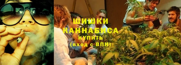 шишки Беломорск