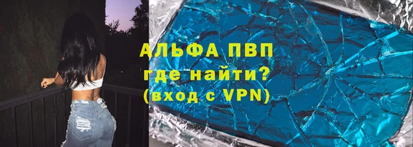 шишки Беломорск