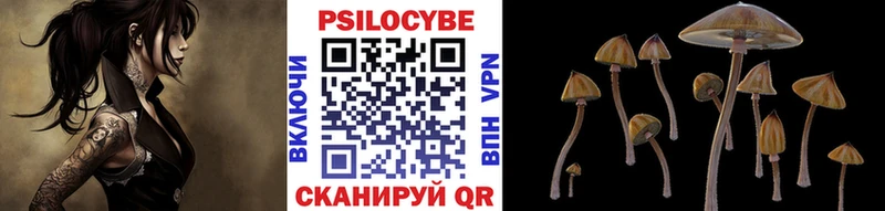 гидра маркетплейс  Кодинск  дарк нет телеграм  Псилоцибиновые грибы Cubensis 