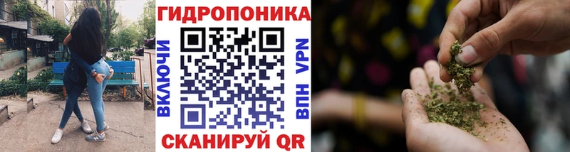 omg сайт  Кодинск  Шишки марихуана Bruce Banner 